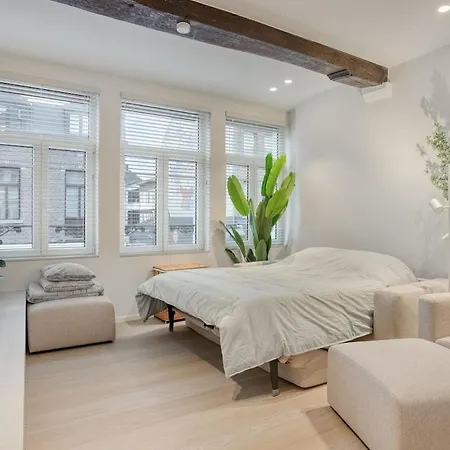 Cozy In The Heart Of *